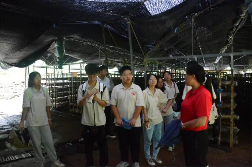 ����a�I���أ��I�԰lչ܉�E