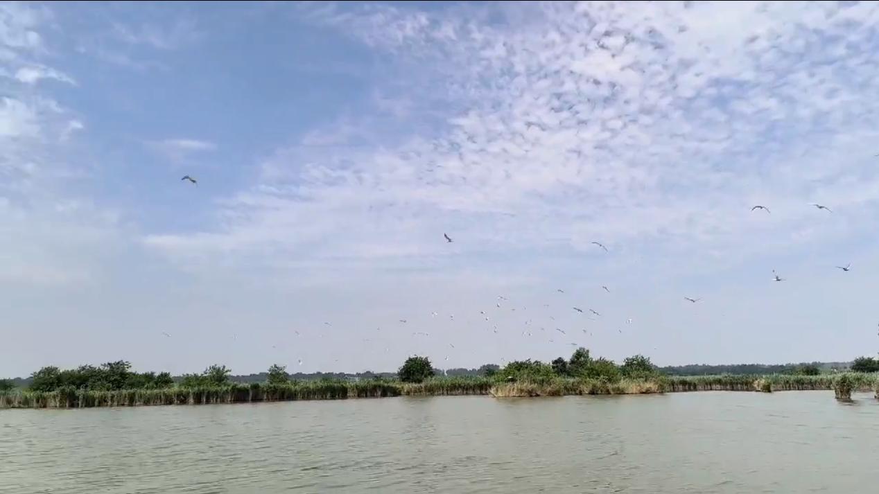 ���Q���������B