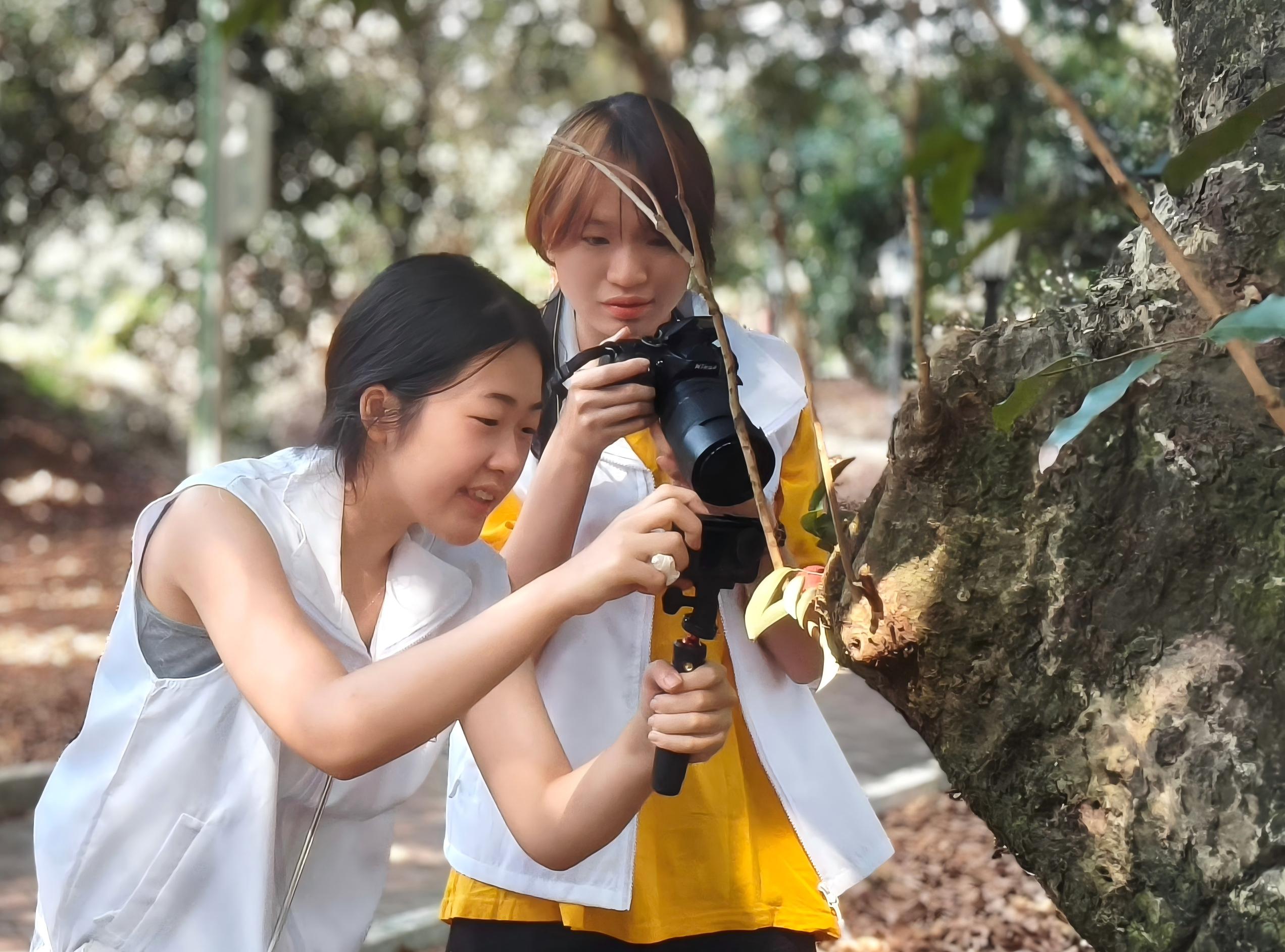 �V�|ؔ����W���ˇ�����`�F���֮�У������Ļ��c�a�I�½���