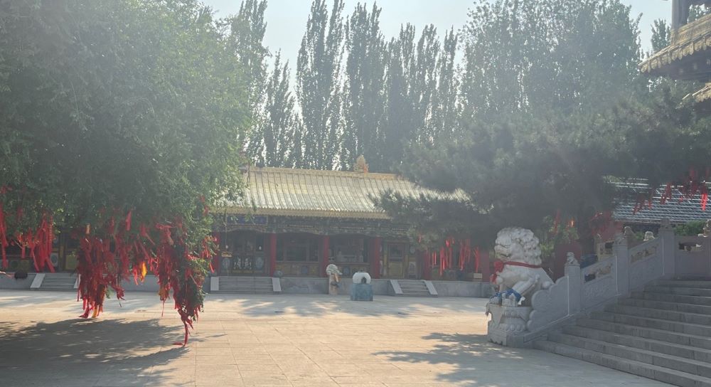 ���ϳǽ��W(xu��)Ժ�������M(j��n)�ϝ����(zh��n)��̽���Ž���Ⱥ���o(h��)�c�_(k��i)�l(f��)֮·