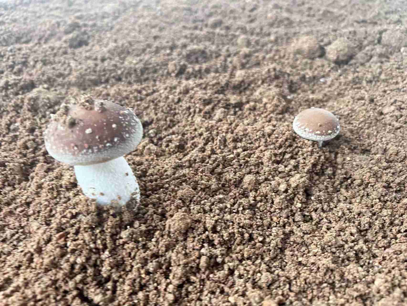 ��(j��ng)�܌W�����M��Ϫ�����壺̽�L�������Ϻ����㹽�F(xi��n)���r(n��ng)�I(y��)ʾ��