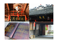 �㽭�����I���g�WԺ�������`С��꠵�һվ��̽���Ѫ{�Ļ����������z����