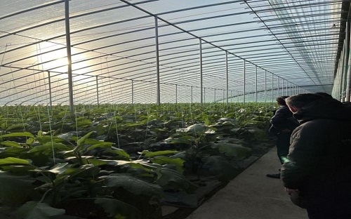 �۽��Gɫ���aģʽ���r�I�����l�����d