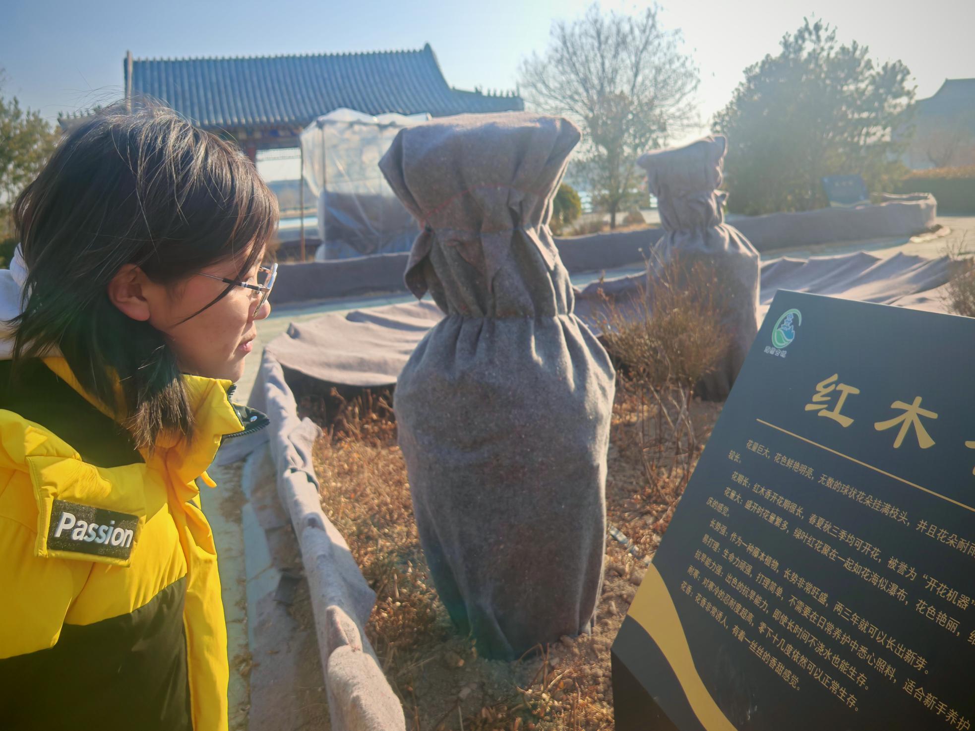 ���S��֮�����Ļ�֮�á������ĳǴ�W�ǻ�־Ը���������̽���S���Ļ�