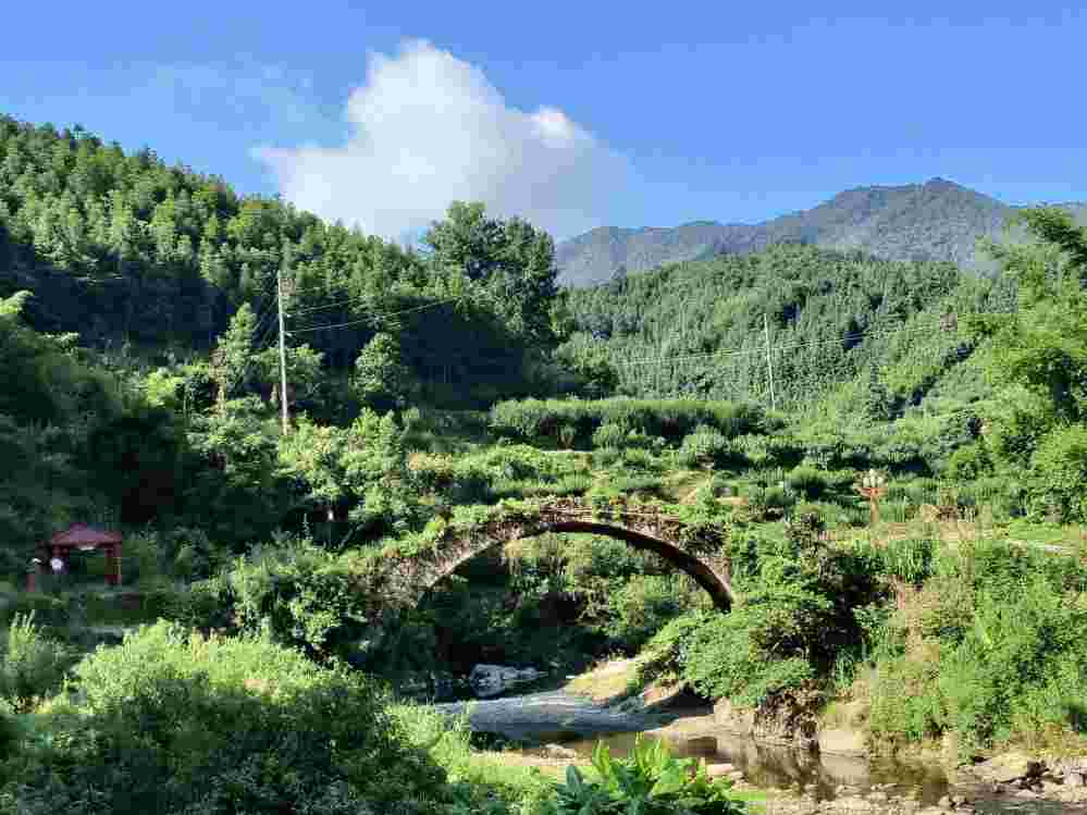 �V�|�����W���������ɽ������l�����d��֧�� �{�� ������ա��M�@�L�ɡ�