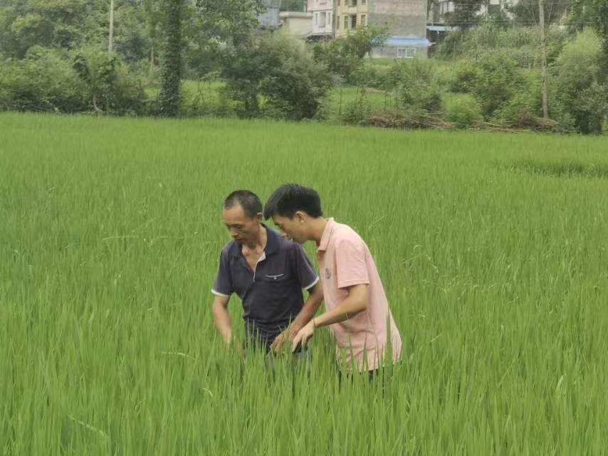 ������̎Փ�S�꣬�������L��������·��