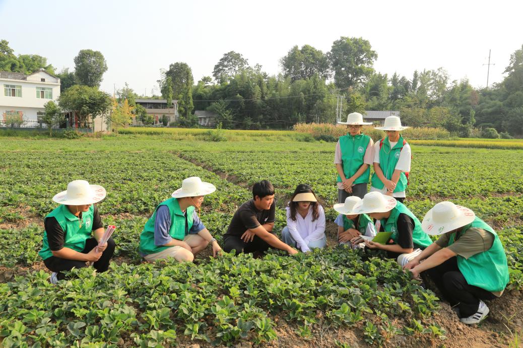 �Ƽ��x�ܣ����Ǽ�l|��ݮ������،��`�{��