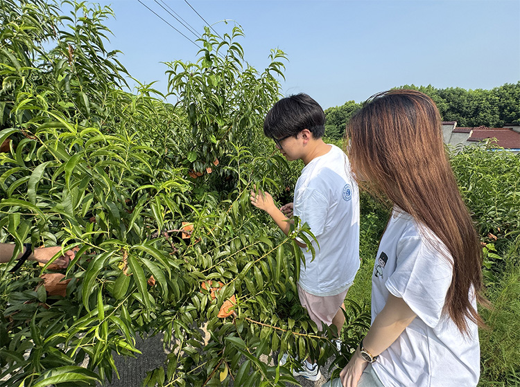 �ɵ�����̽���d���K�ݳ��ЌWԺ�ƶ���Ұ���`�F̽���l�����d�lչ��ģʽ