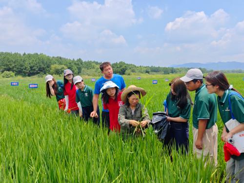 �����r(n��ng)�I(y��)��W(xu��)���ǻ���š���(sh��)�`�(du��)����ֲ�r(n��ng)���Ļ�������˼������