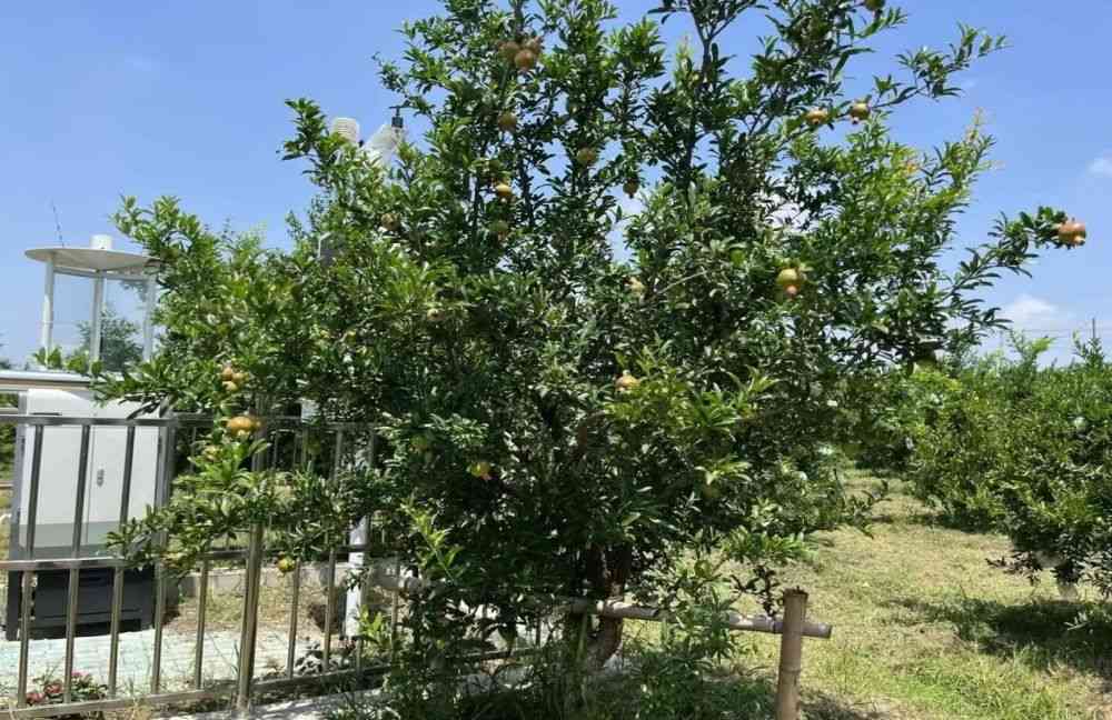 �l(xi��ng)�����d��̽�����n��ʯ��