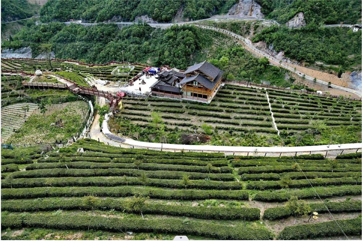 ���r���r�I���̘I�c���ΘI�ں����������v�w