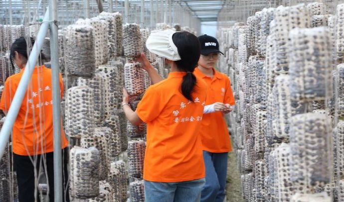 ֪�R���ڌ��`���F���Y���w򞡪�����״�ľ���������༰��ժ