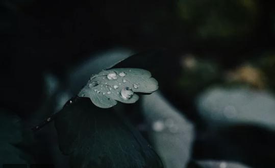 �ַ����c����