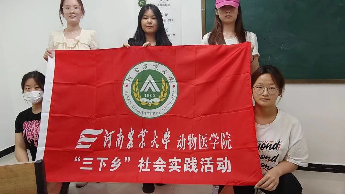 �ǻ����� ��������