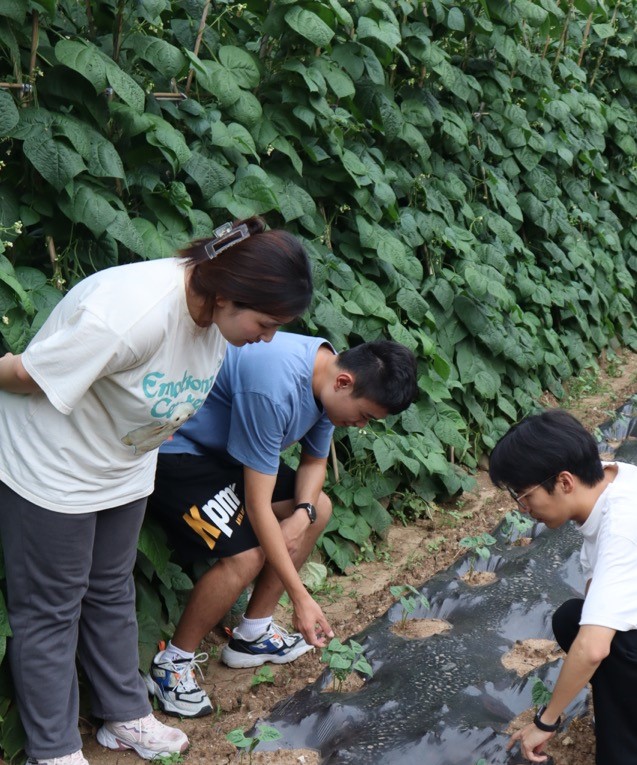 �߽��r�I���a����