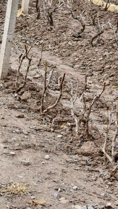 �̌W(xu��)Ժ�r(n��ng)�Ǆ�(chu��ng)�ЈF(tu��n)�(du��)�M(j��n)�����Ѯa(ch��n)�I(y��)��(sh��)���{(di��o)��