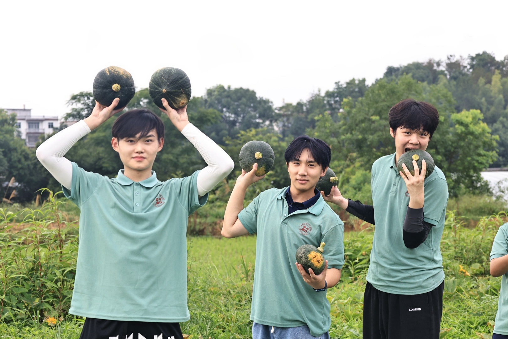 ���Ϲ��ٵ��h��t��һ��(ch��ng)����(r��n)�����c�����������l(xi��ng)��(sh��)�`