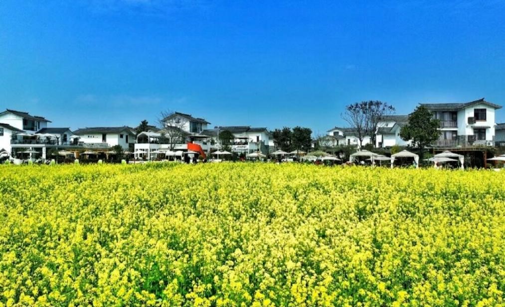 �l�����d�����r�����P�����D�������Ͼ�ؔ����W���l��н���l�����d���M�Fǰ������ʎ�_չ�{��