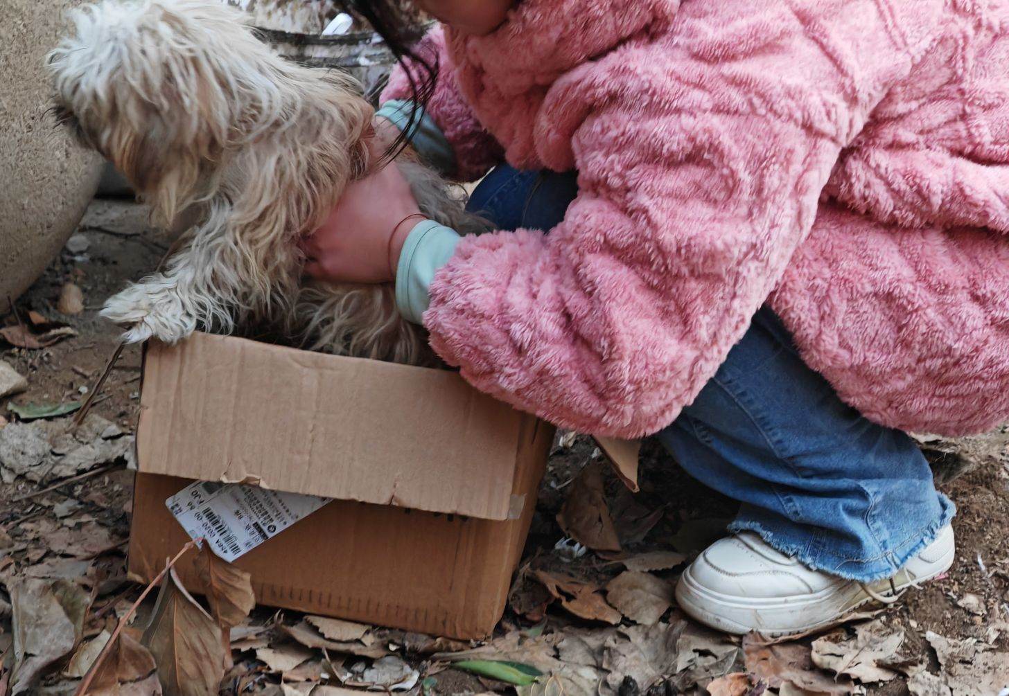 ��������ɫ�ʣ�׌�۲����ˡ�����������`��桪���P�ۄ���