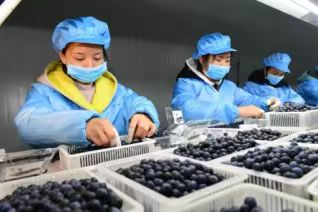 ���ֶ����{�����`�F���������{ݮ���v���c�{�мo��