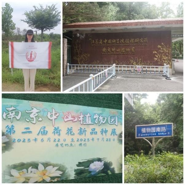 �������tˎ��̽�匚��������Ⱥ���\������н�����`�F�پ�н��С���̽�����Kʡ�Ї��ƌWԺֲ���о����Ͼ���ɽֲ��@���@��̩���Ї��tˎ���в�ˎֲ��@