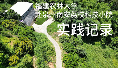 �ഺ�x�܈A�Gɫ��Ұ��(m��ng)���Ƽ��d�r(n��ng)�L��(sh��)�`��ƪ��