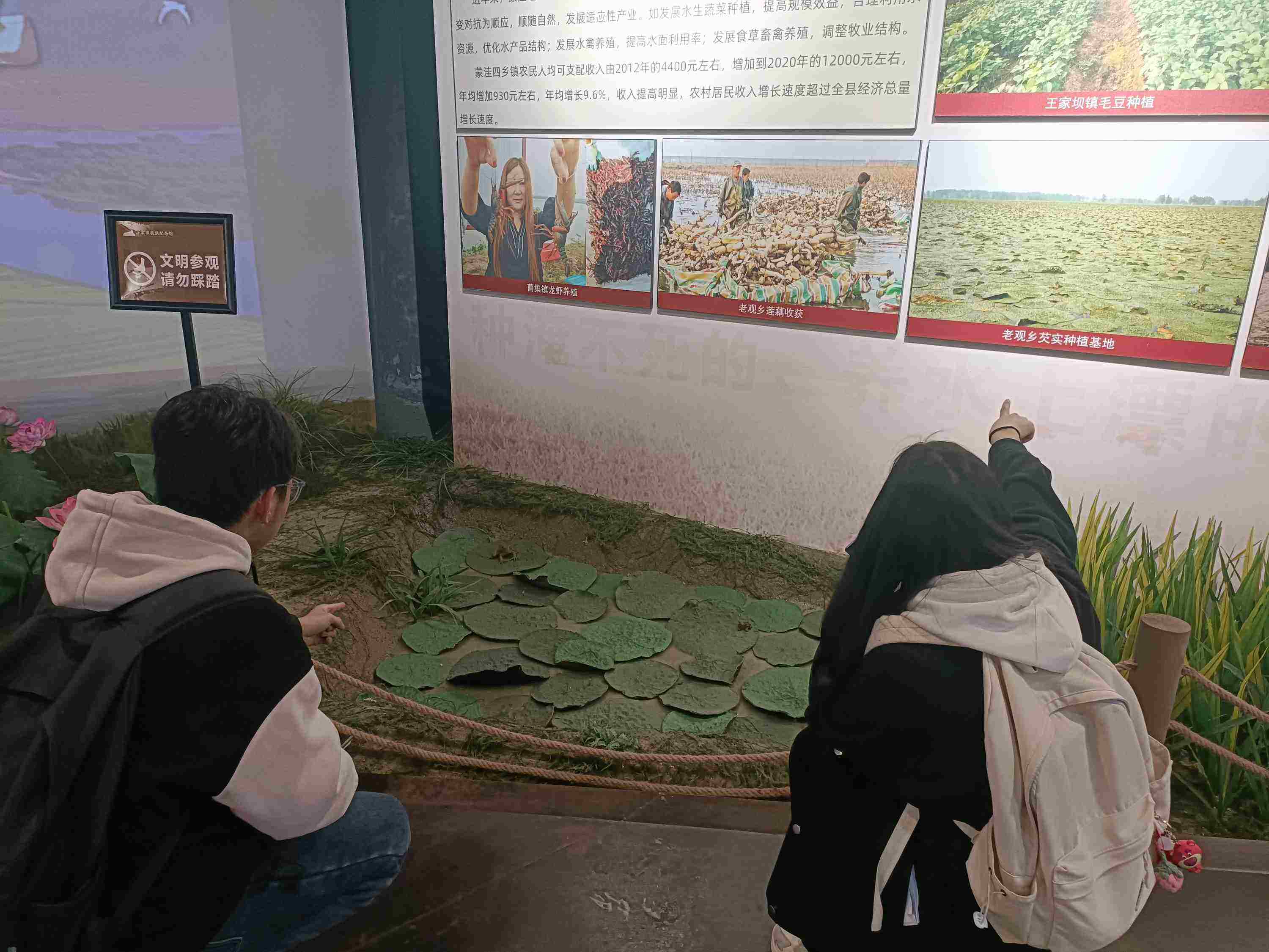 �l�����d���Ա����¶�Ԫ�a�I�ںϰlչ�ĬF��·��̽�������Ը���и��Ͽh����