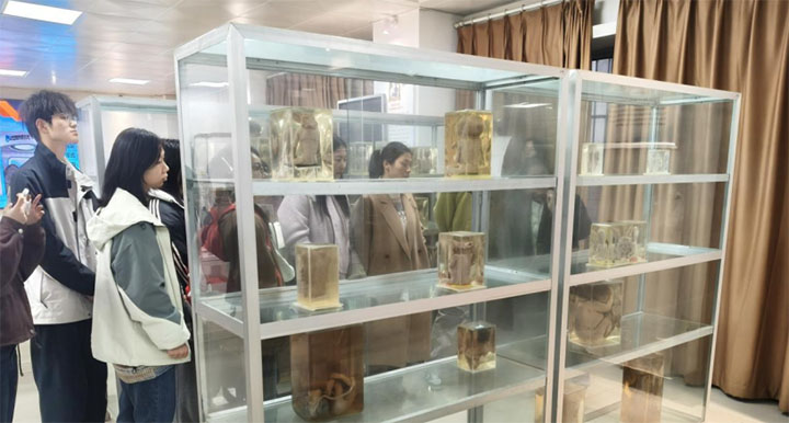 ̽���������ã��������`֮�s���������Ƽ��W(xu��)Ժ�_(k��i)չ�����������(d��ng)