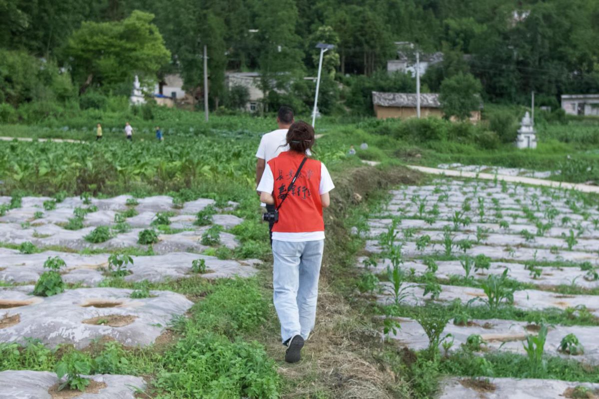 ��μ������ǭ�����У��c��ϣ��֮�⣺֧�̴�W���c�F�ݽ�߅С�W�ώ����L�W��