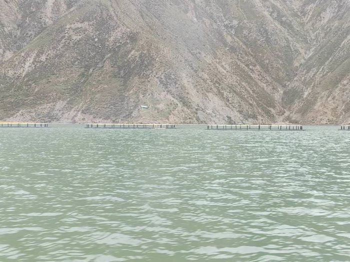 ̽�ؼt��壺�S��֮�ϵ����B(t��i)�匚�c�Gɫ�a(ch��n)�I(y��)֮·