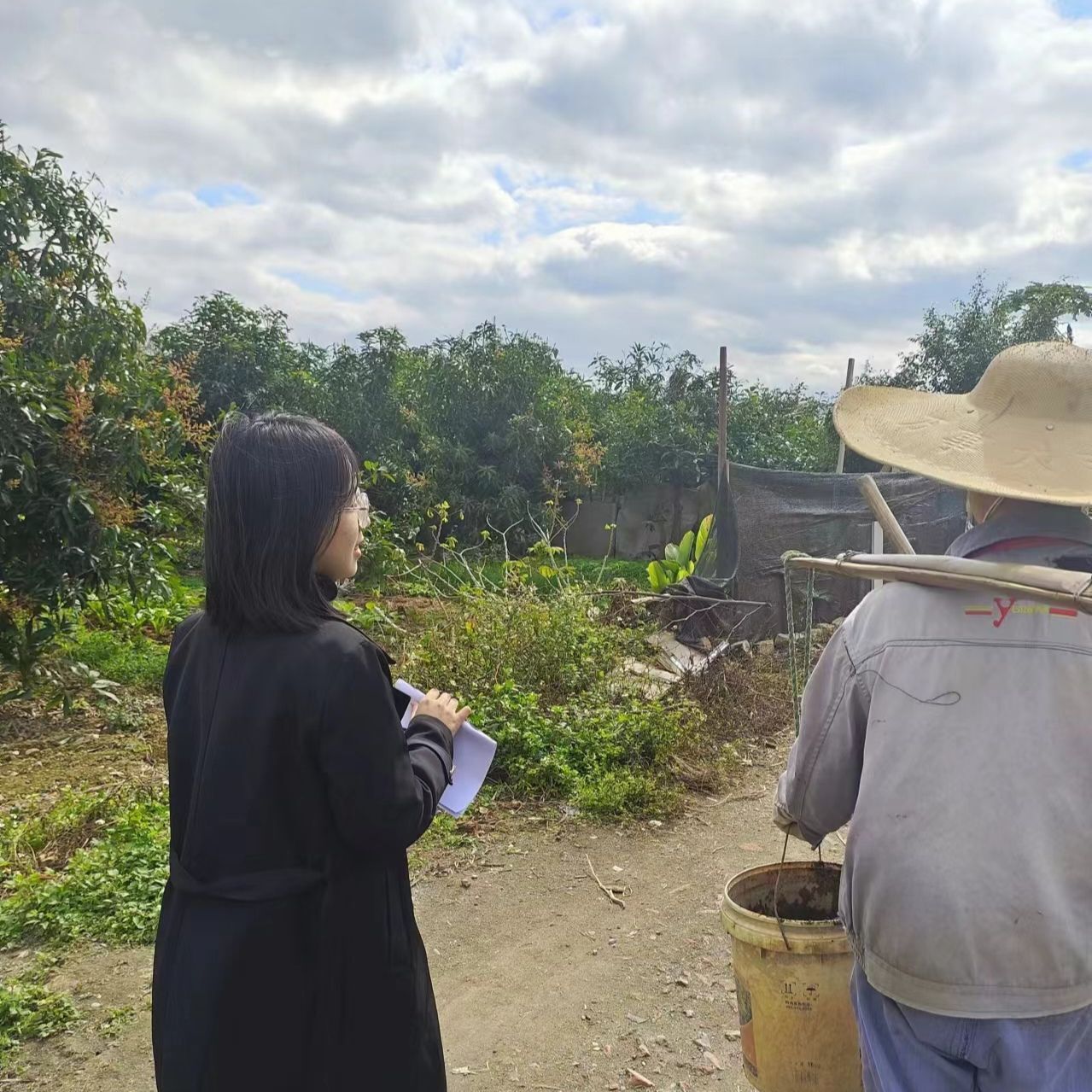 �R��˼���x�WԺ��â��·��ֹ�F꠸��V����ɫ����|�h�_չ���`�{�л��