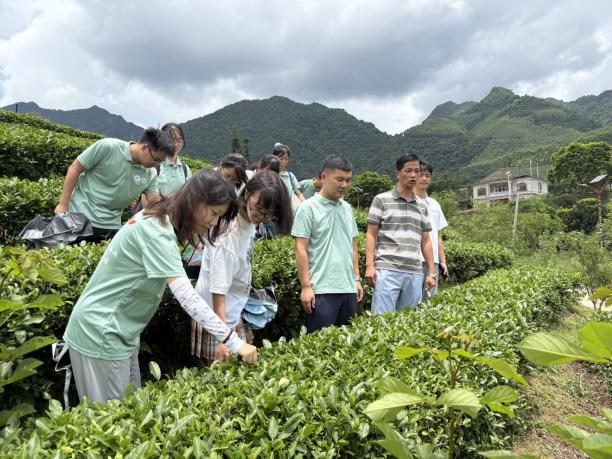 �𹤌W�Ӆ��^��ƽ�h�o�Q����@