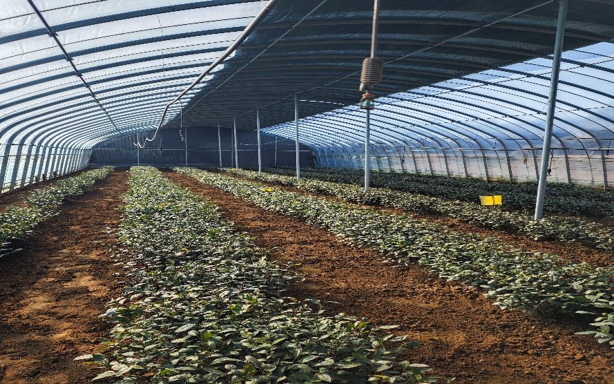 ���ղ�퍣�̽�����ղ��~�lչ��ò