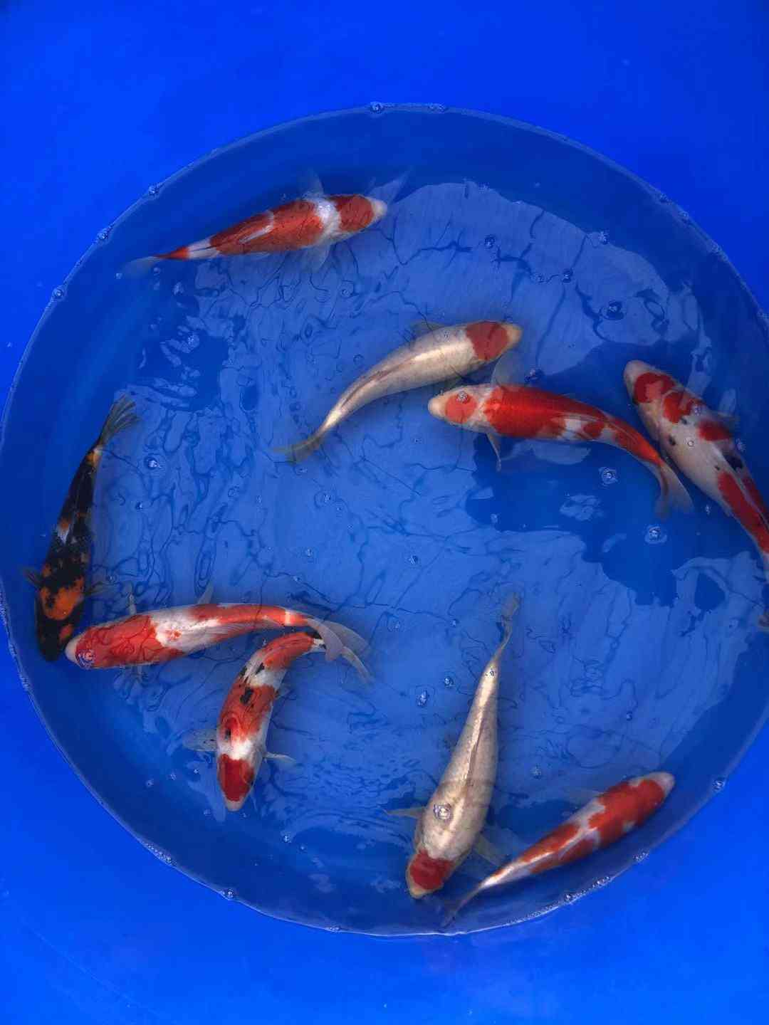 �\���a�I���l�壬�����lչ�����d