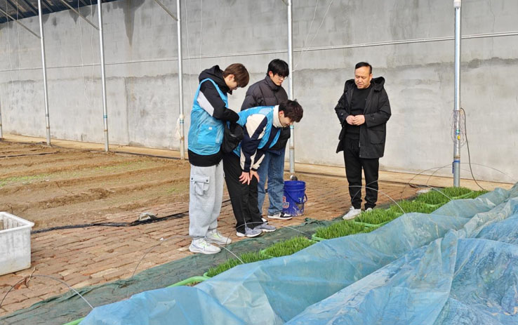 �ĳǴ�Wˎ�WԺ�e�k��������s ���ⰻȻ��������`���