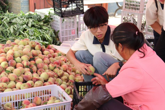 ���������ݣ��L����W�ഺ���`�L���d