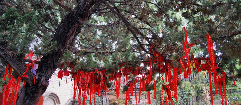 ̽���A٢�z�E �����t(y��)ʥ����