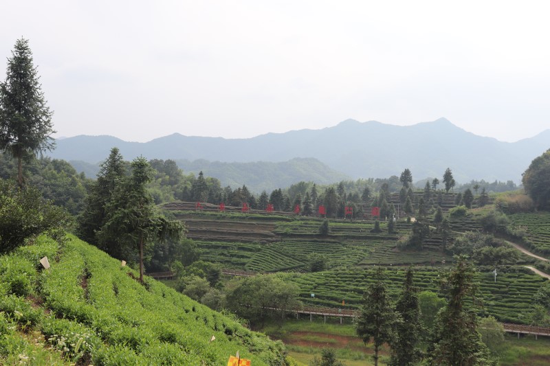 ���r���ߵ����������ð����������D��