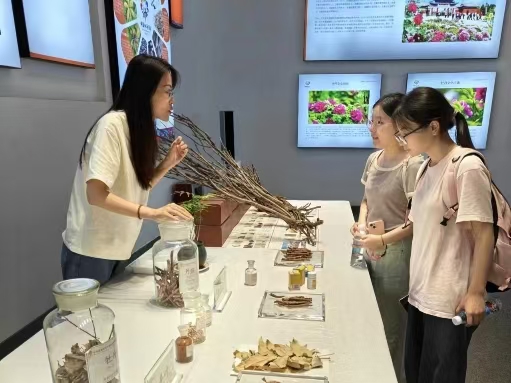 �Ļ��a�I���ٰlչ���������ҽ����v�w