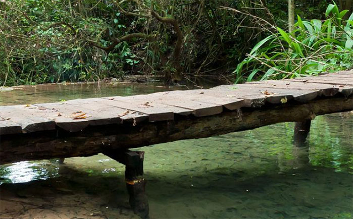 ��ľ����߷�