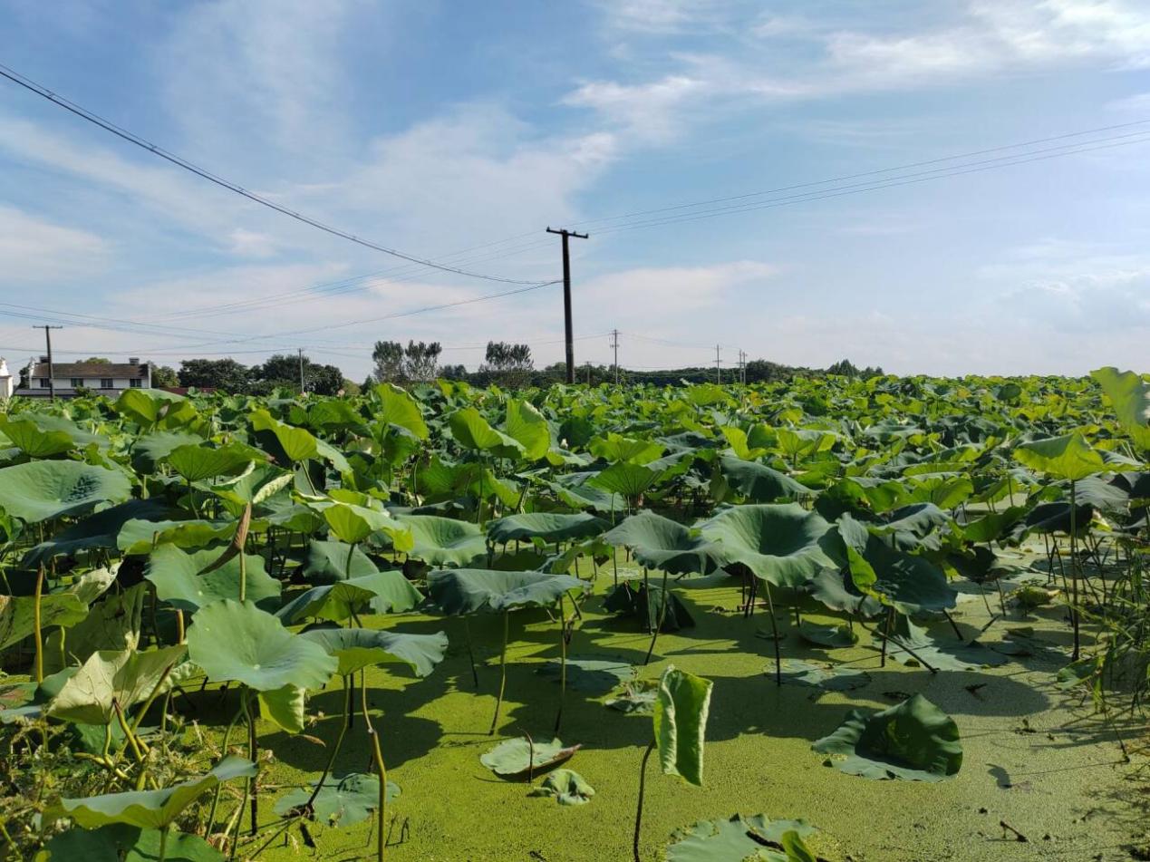 ��朹��������O��׃:���������h�WԺ�������