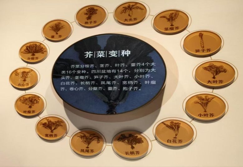 �ؑc���ĿƼ��W(xu��)Ժ�����̽�r���F(tu��n)�(du��)̽�ظ���ե�˲����^ ������a�a(ch��n)�I(y��)���ĿƼ��ں�֮��