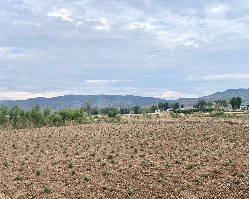 �ӹ���W��ѭ���㡱�����������Ե���Nֲ���،��`����