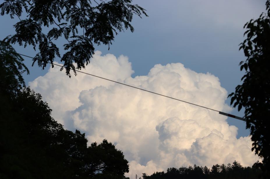 ������Ϫ�O���ڂ��� ������`���