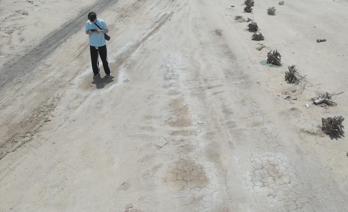 ���u�r(n��ng)����ޣ�Ƽ�СԺ���}�A���{(di��o)�У����L�Gɫϣ��