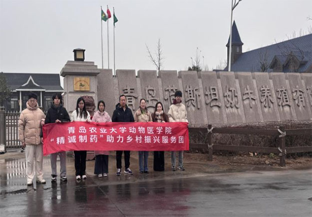 �Ƽ��d�r�T��ʯ����I�d��I�ഺ�������u�r�I��W�����t�WԺ�����t�oԴ ��I�d����`���ՈF���¿Ƽ����I��ţ�a�I���|��Ч