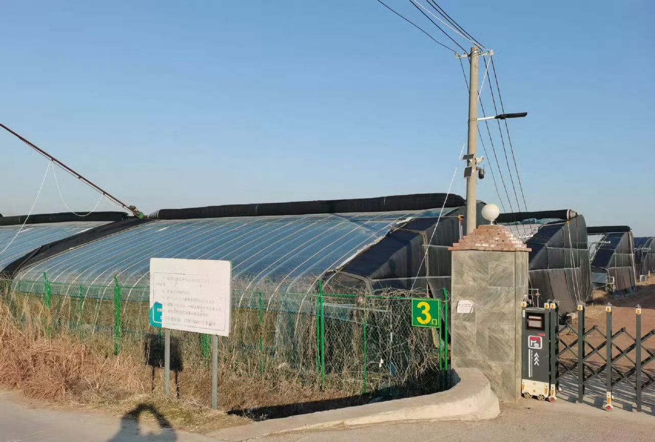 ̽�����D��·���L�p�����{�D