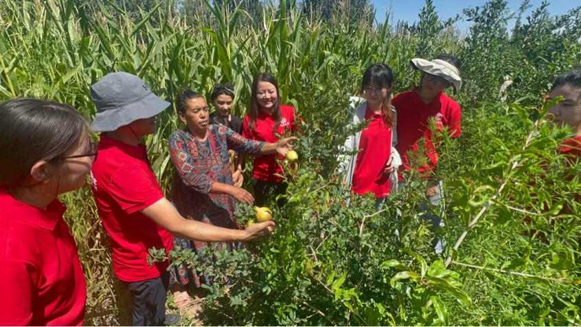 ��(sh��)�`�(du��)�������g���^