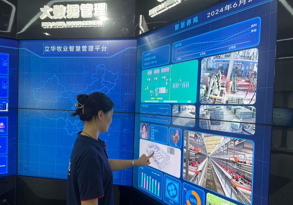 �p�M�ƵZ�У��ǅR���`���������W���M��I