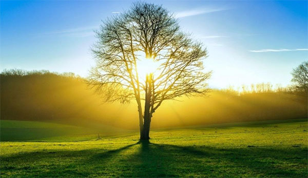 һ�Ø������n